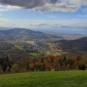 https://monteur-ferienwohnung-baden-baden-rastatt-elsass.hotelsheidelberg.net