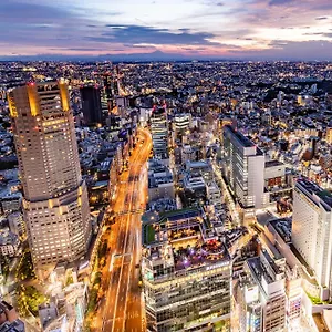 Hotel Cerulean Tower Tokyu *****